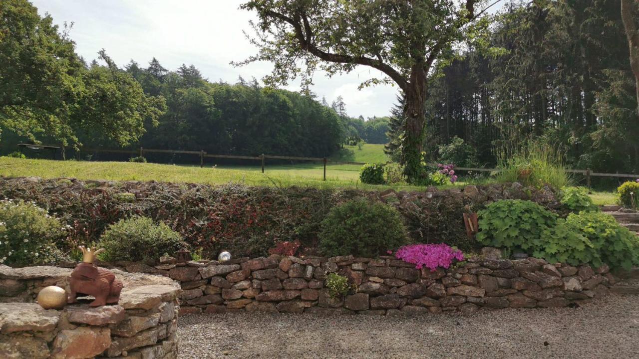 Ferienhaus Vulkaneifel Landhaus Loogh Kerpen  Buitenkant foto