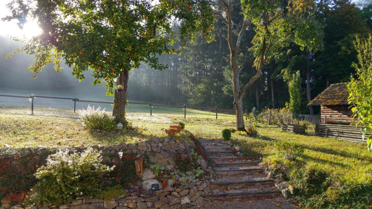Ferienhaus Vulkaneifel Landhaus Loogh Kerpen  Buitenkant foto