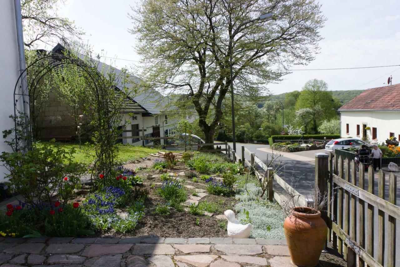 Ferienhaus Vulkaneifel Landhaus Loogh Kerpen  Buitenkant foto