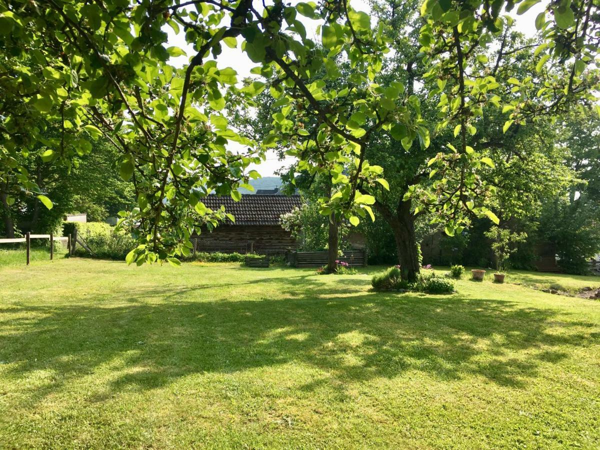 Ferienhaus Vulkaneifel Landhaus Loogh Kerpen  Buitenkant foto