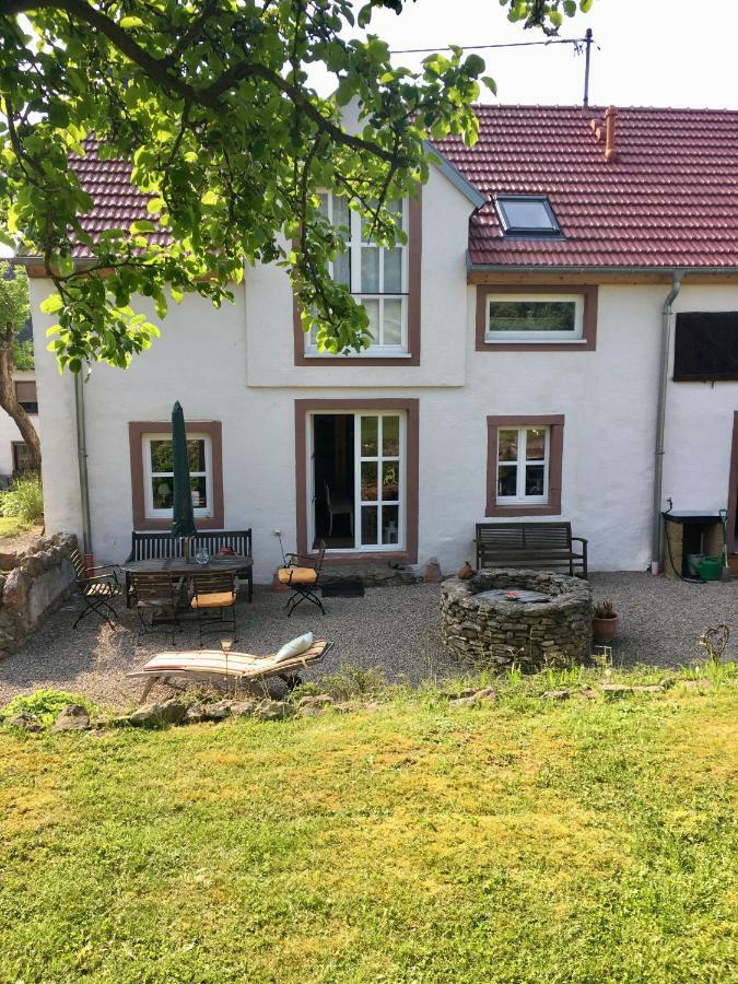 Ferienhaus Vulkaneifel Landhaus Loogh Kerpen  Buitenkant foto